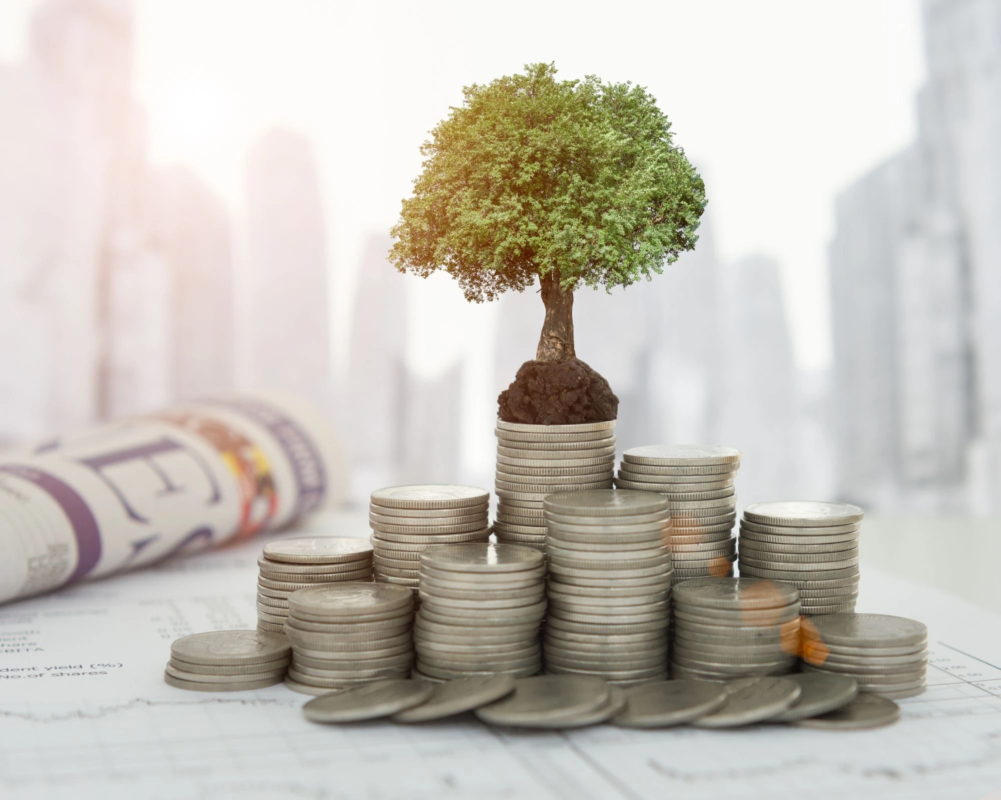 Stratégie financière entreprise : 10 points clés à connaitre pour performer, Investissements intelligents 