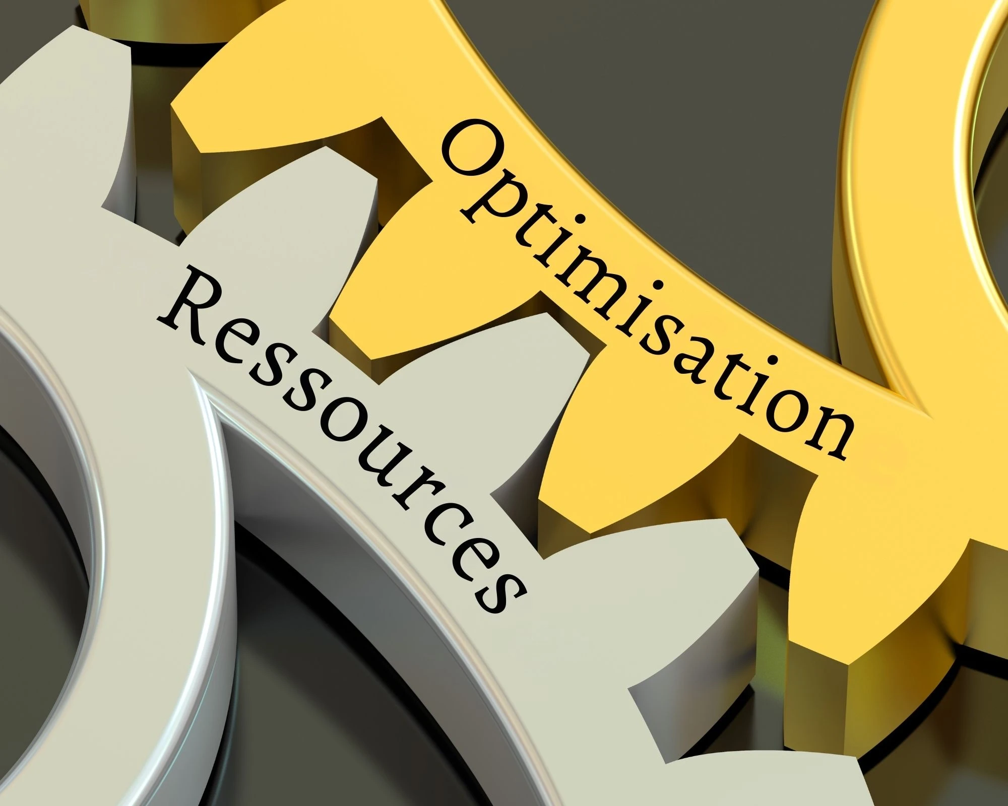 Performance entreprise : Comment tirer le meilleur de votre activité 3 Performance entreprise : Comment tirer le meilleur de votre activité, Optimisation des ressources